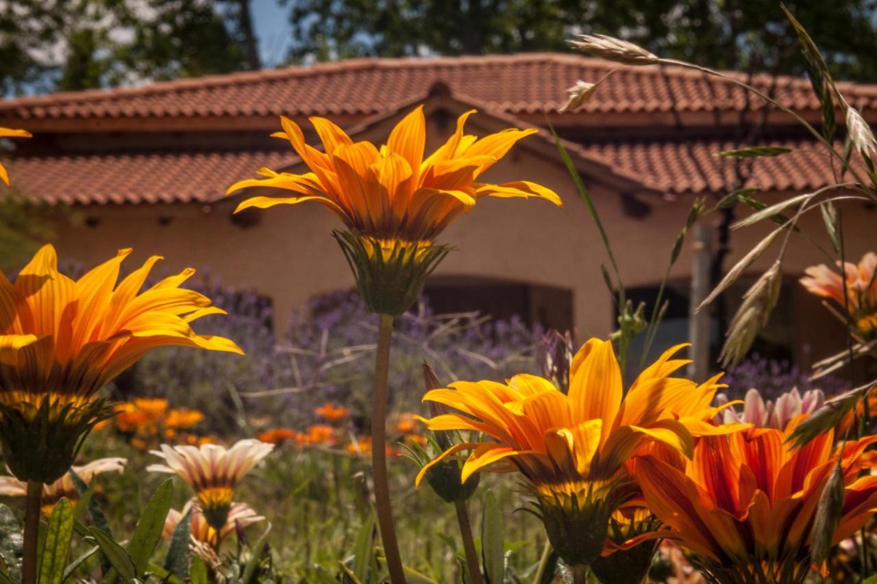 Casona Aventurados Vila Lujan de Cuyo Exterior foto